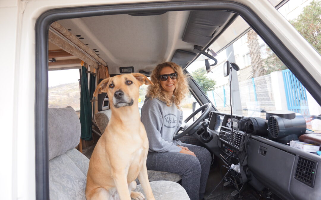 Vanlife mit Hund: Der ultimative Leitfaden