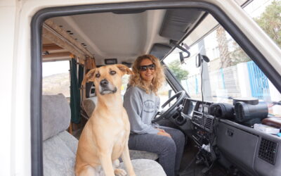 Vanlife mit Hund: Der ultimative Leitfaden