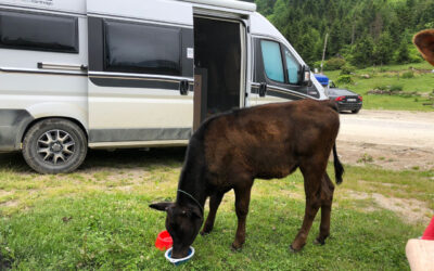 Wie wir unseren Van von Grund auf selbst gebaut haben